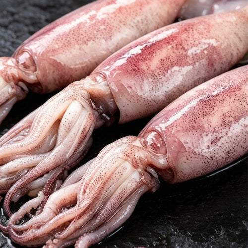 Raw whole squid laid out on dark slate