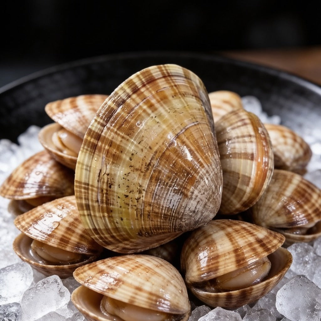 Heap of striped clam shells piled on crushed ice